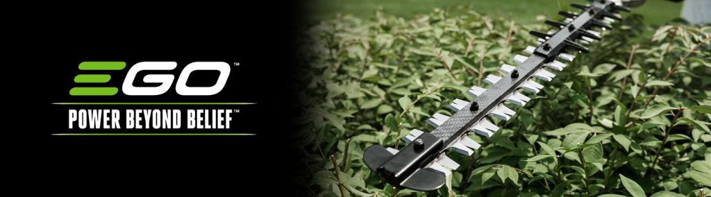 Februar u bašti: živa ograda